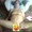 slave_new from stripchat